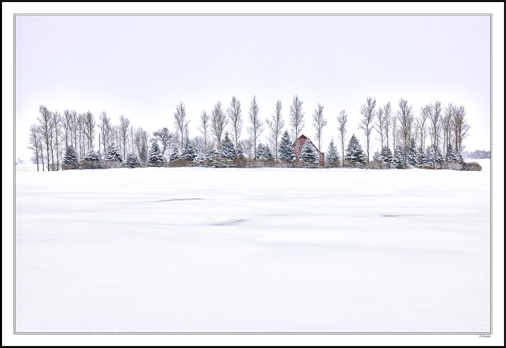 Distant Shelter