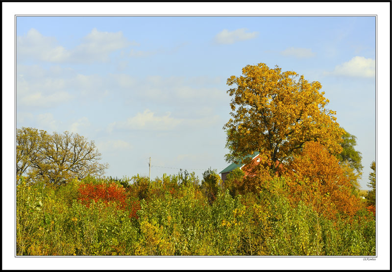 Autumn Crest