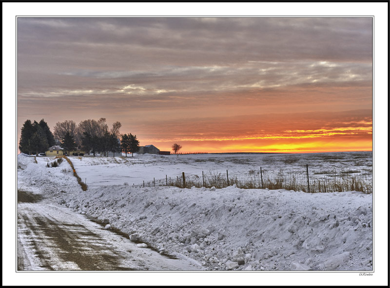 Tangerine Morning