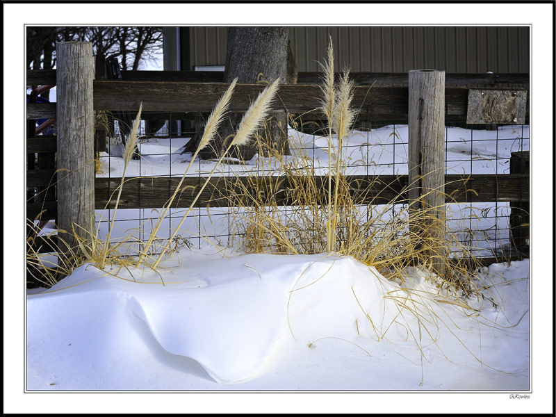 Winter's Mantle