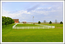 Picture-Perfect Pasture