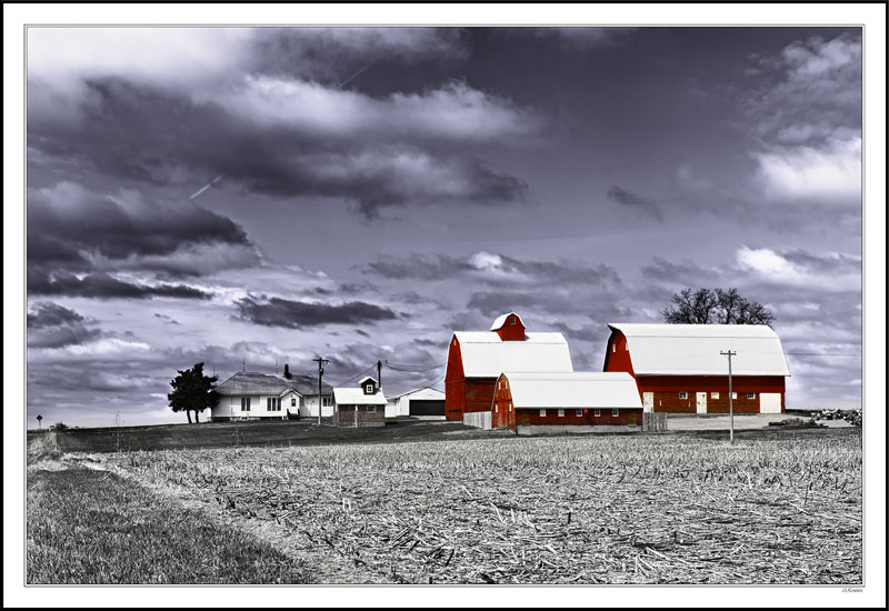 Three Red Barns