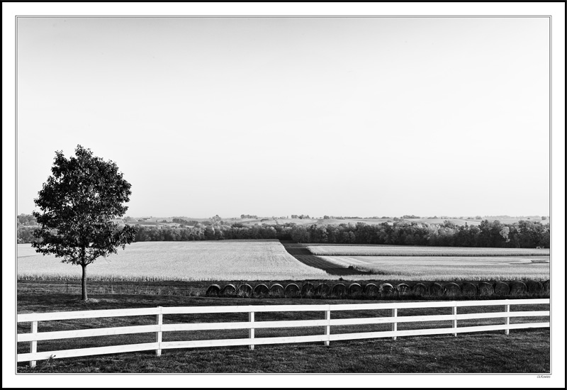 Fence, Bale, and Row