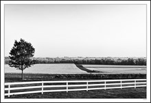 Fence, Bale, and Row