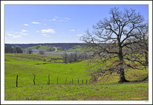 Spring Begins in the Southern Hills