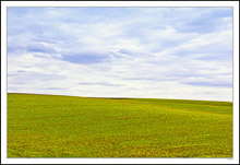 Meadow and Sky