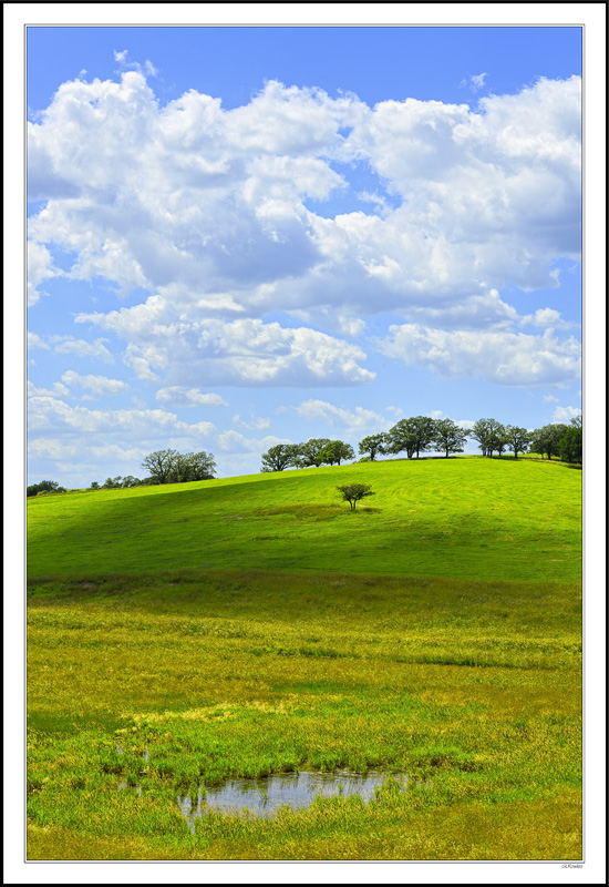 Clouded Pasture