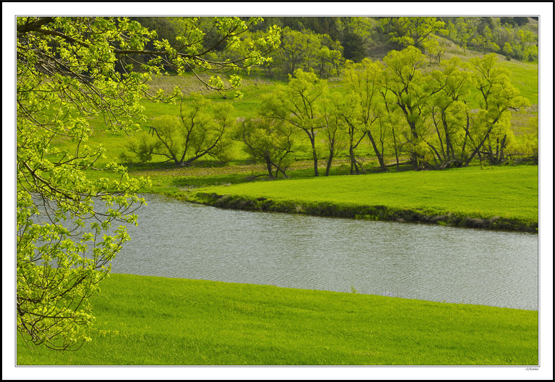 Pastoral Tapestry I