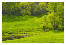 Pastoral Tapestry II