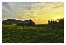 Dazzling Sunrise, Opulent Field