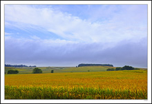 Sky, Fog, Field