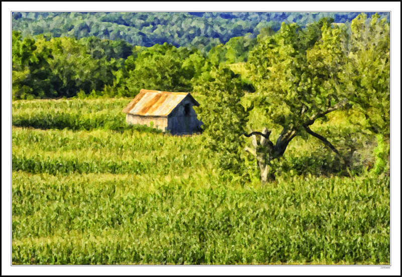 Deep Foliage