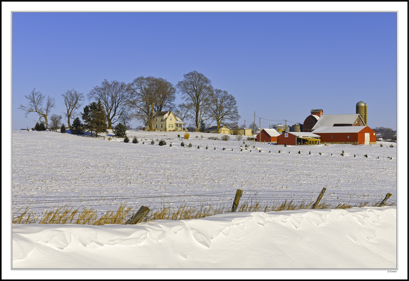 Emerging Windbreak