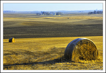 Islands on the Prairie