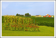 A Potpourri Of Everything Rural Iowa