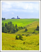 An Iridescent Glow In the Fields I