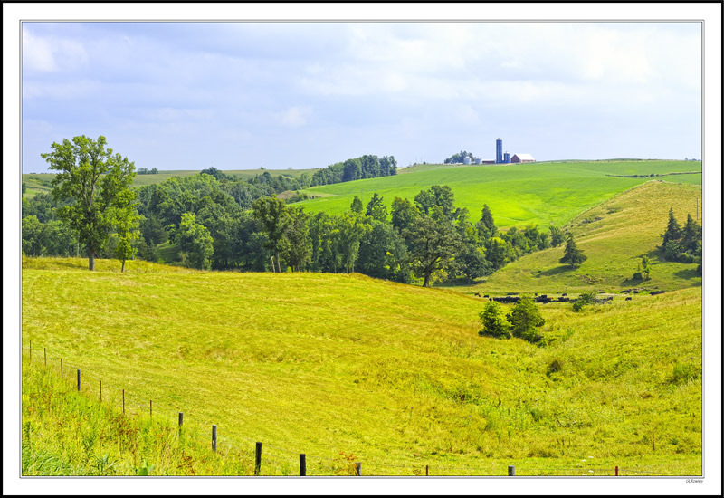 An Iridescent Glow In the Fields II