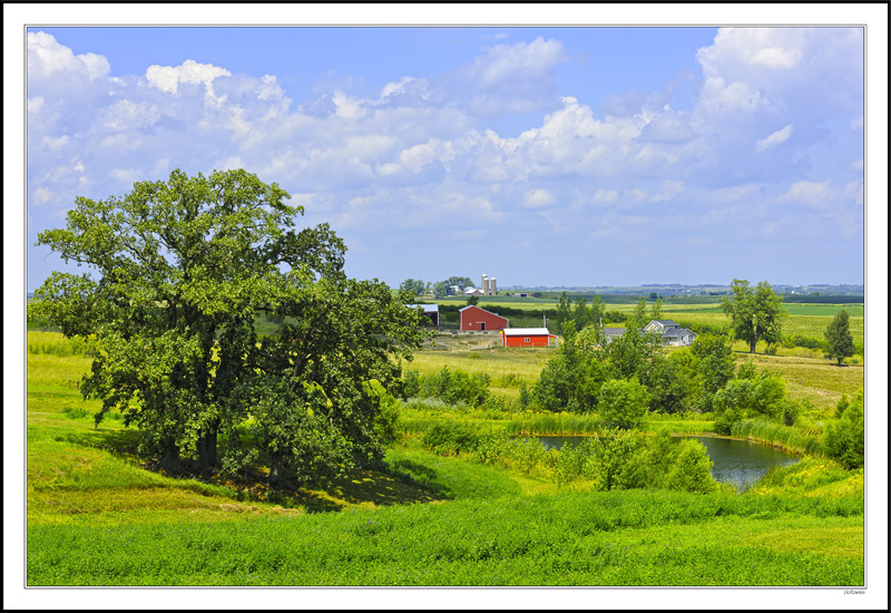 The Soft Excitement Of Rural Tapestry