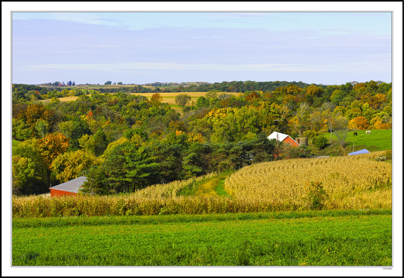 The Nestled Farmstead Says 'Home'.