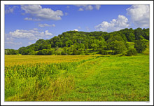 Wooded Bluffs Backdrop Rich Fields I