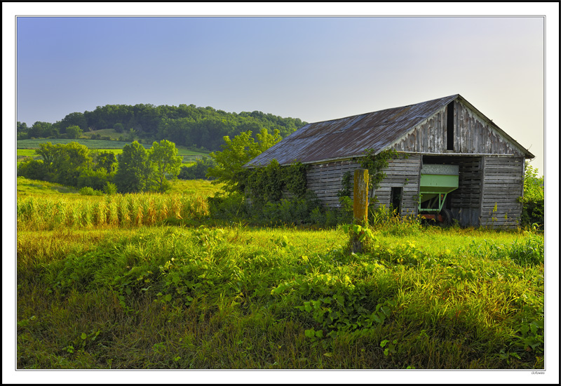 Wooded Bluffs Backdrop Rich Fields II