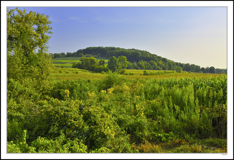 Wooded Bluffs Backdrop Rich Fields III