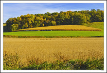 Neatness Counts On This Hillside