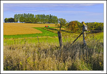 Grain Wagons Positioned For The Imminent Harvest