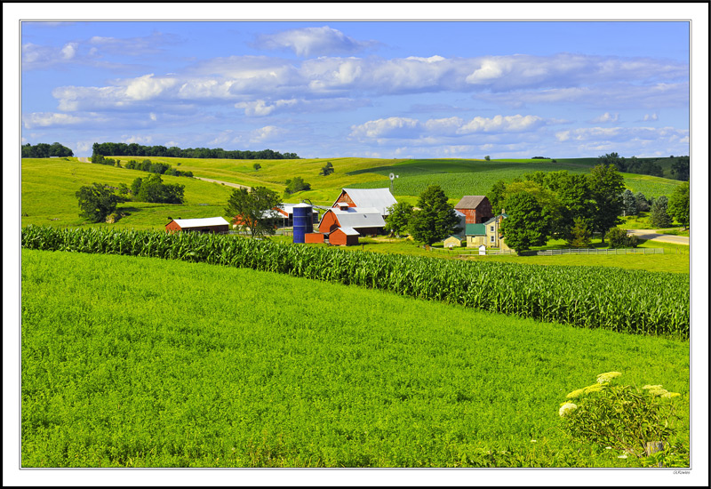 The Red Farmstead On The Bend II