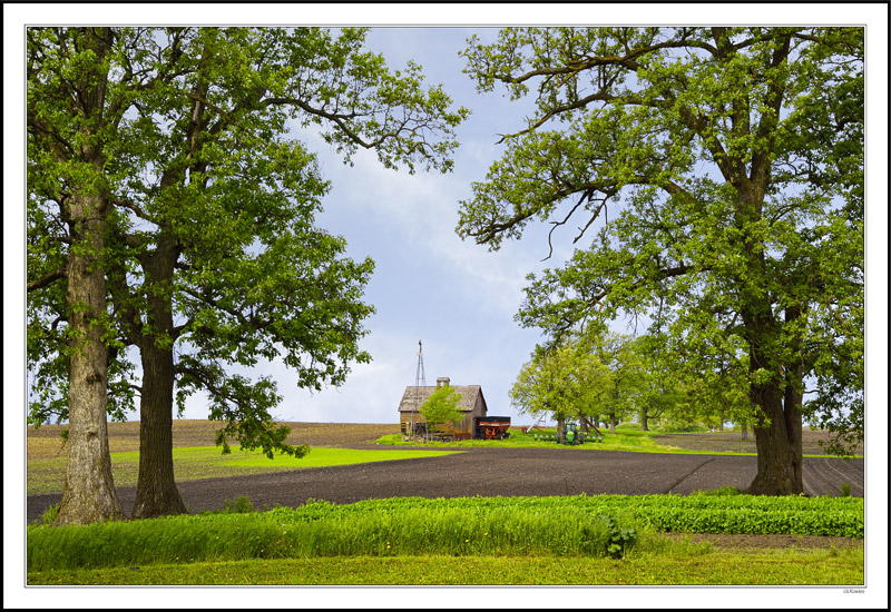 Equipment Island Framed By Twin Oaks