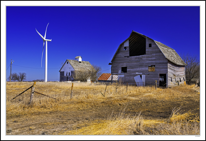 Blowing In The Wind