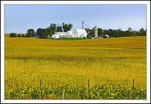 Nested Farmstead