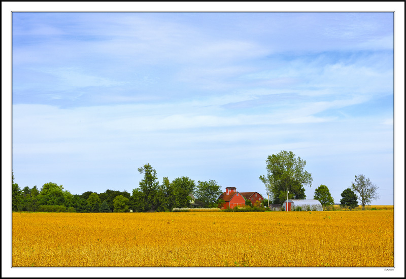 Windswept Blue Sky Over Red Barn