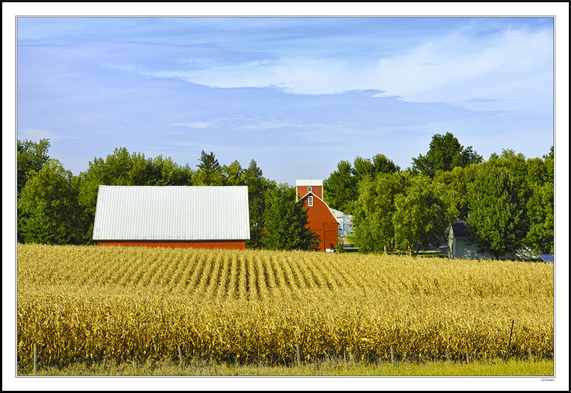 Quintessential Farmstead