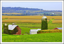 Bucolic Valley