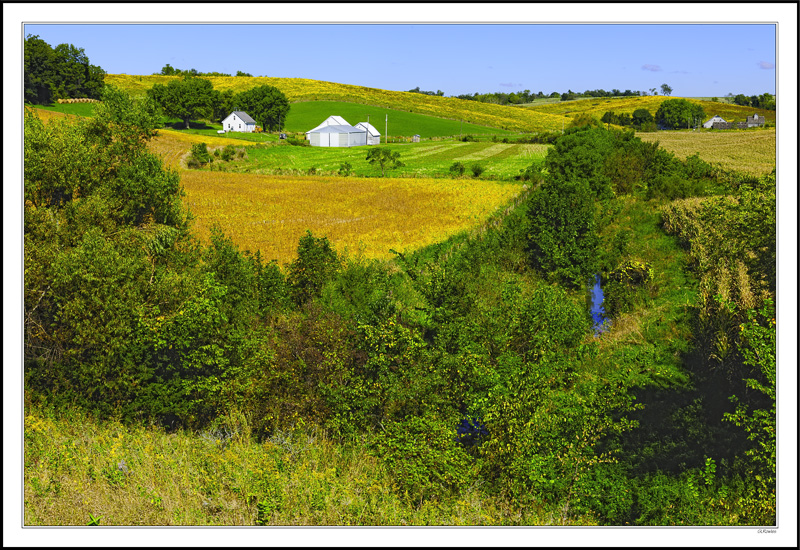 Verdant Farm Frame