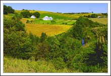 Verdant Farm Frame