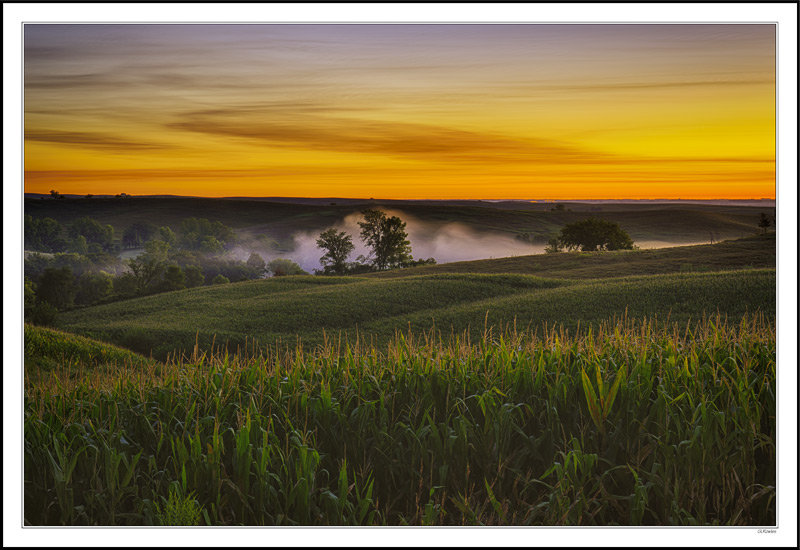 Rusty Sky Sweeps Over Rising Mists I