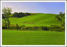 Bales To Scale