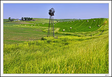 Baling Alleys