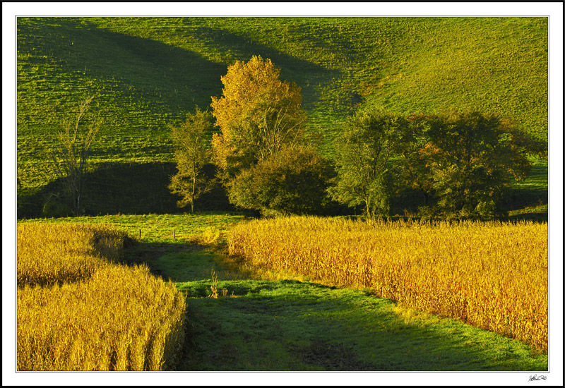 Serenity Waterway