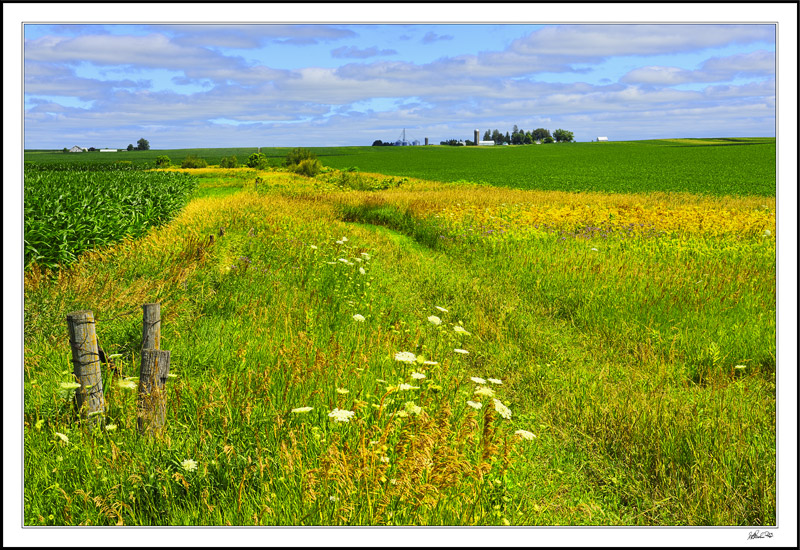 Queen Anne Path