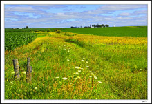 Queen Anne Path