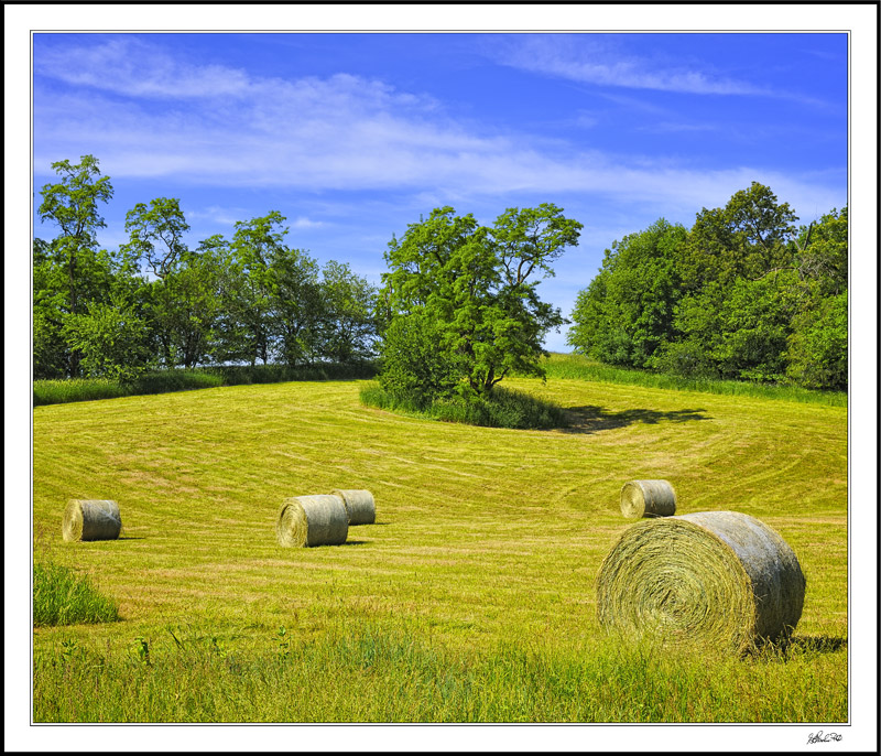 Harvest Art