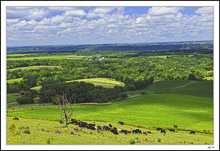 Mississippi Valley