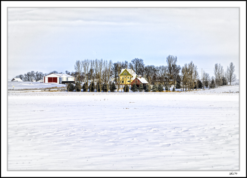 Rural Winter Oasis II