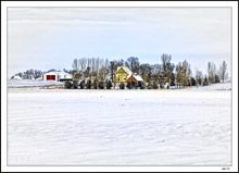 Rural Winter Oasis II