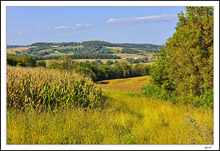 From Canoe Rd To The Skyline