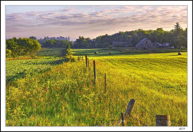 At The Edge Of Honey Creek