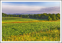 Sunrise Farmlands